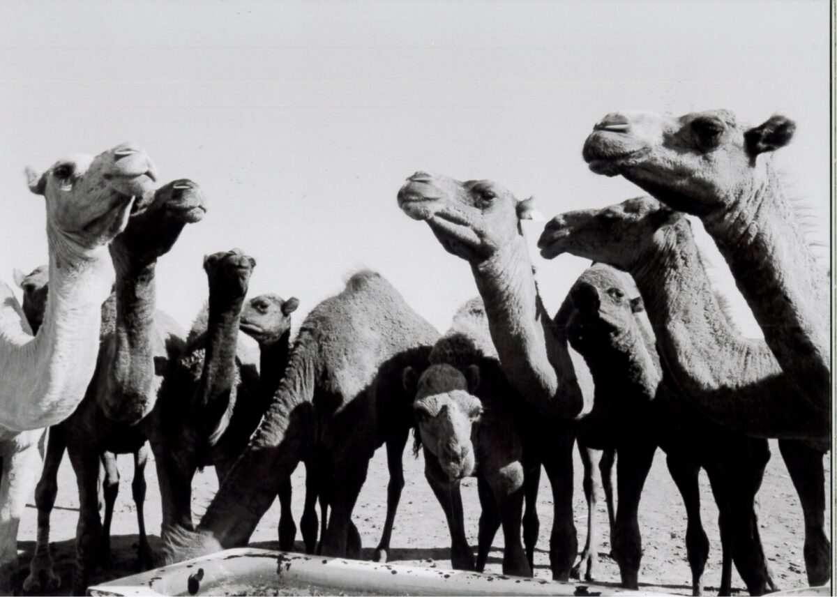 黒田真琴 写真展 cafe & gallery 温々（ぬくぬく）