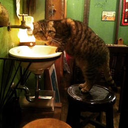 13319939_10206228793451004_3791938101643721692_n _copy.jpg