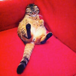 13346661_10206197178340646_4088632390626034510_n _copy.jpg