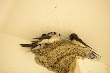 DSC_0878 _copy 2.jpg