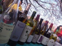 花見ワイン.jpg
