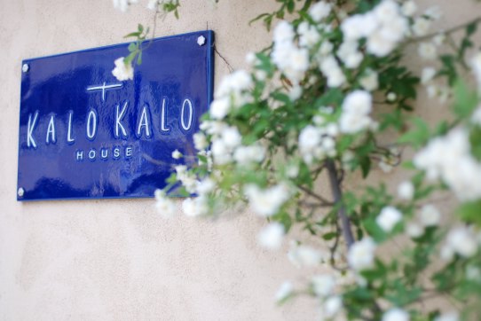 kalokaloh.jpg