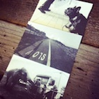 pajarocard _copy .jpg