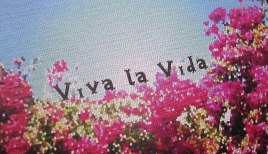 vivalavida.jpg